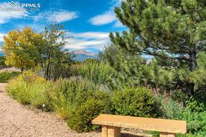 4169 Tree Creek Trail