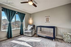 2085 Reed Grass Way