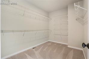 1733 Summerglow Lane