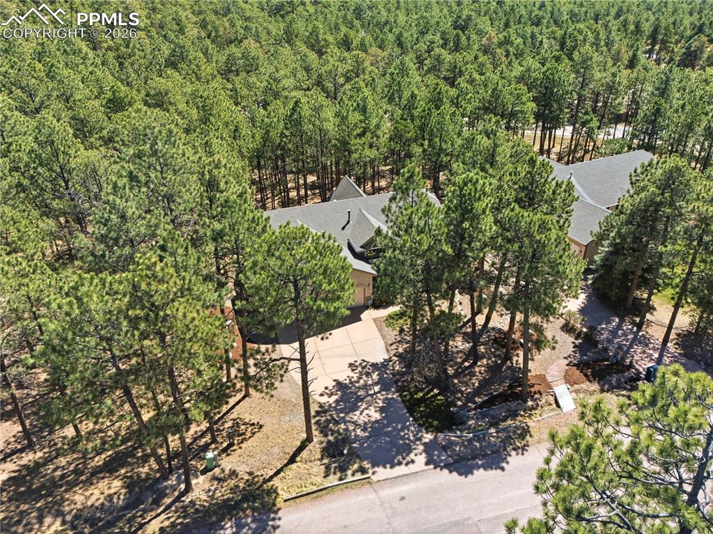 16206 Red Fox Lane