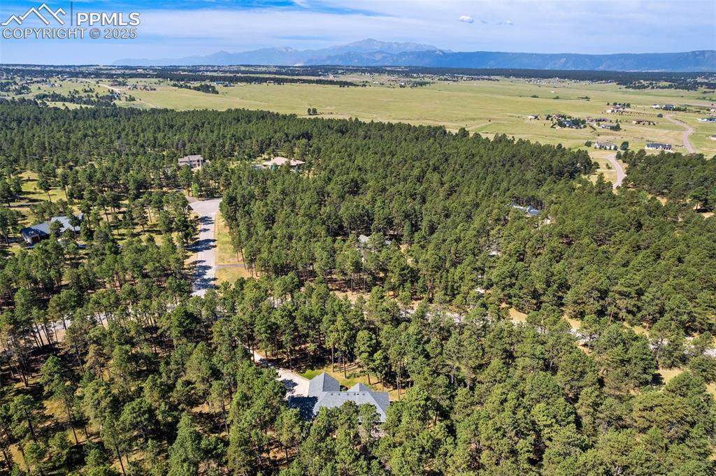 19825 Twisted Pine Drive