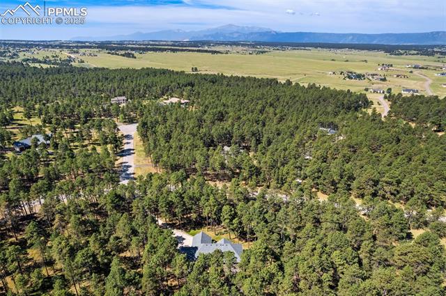 19825 Twisted Pine Drive