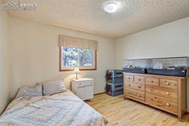 4385 Sandstone Drive