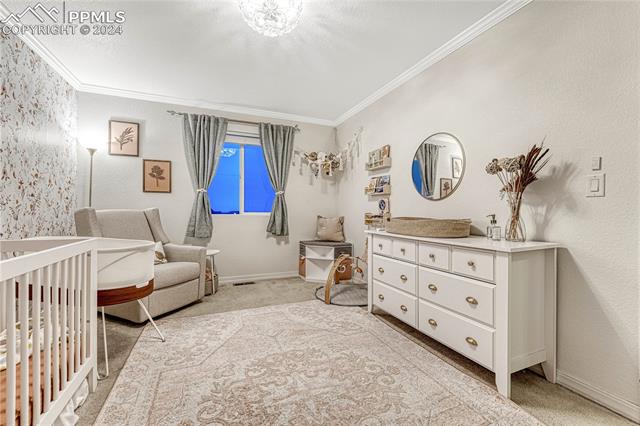 12394 Black Hills Drive