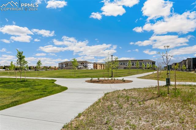 1805 Rose Quartz Heights