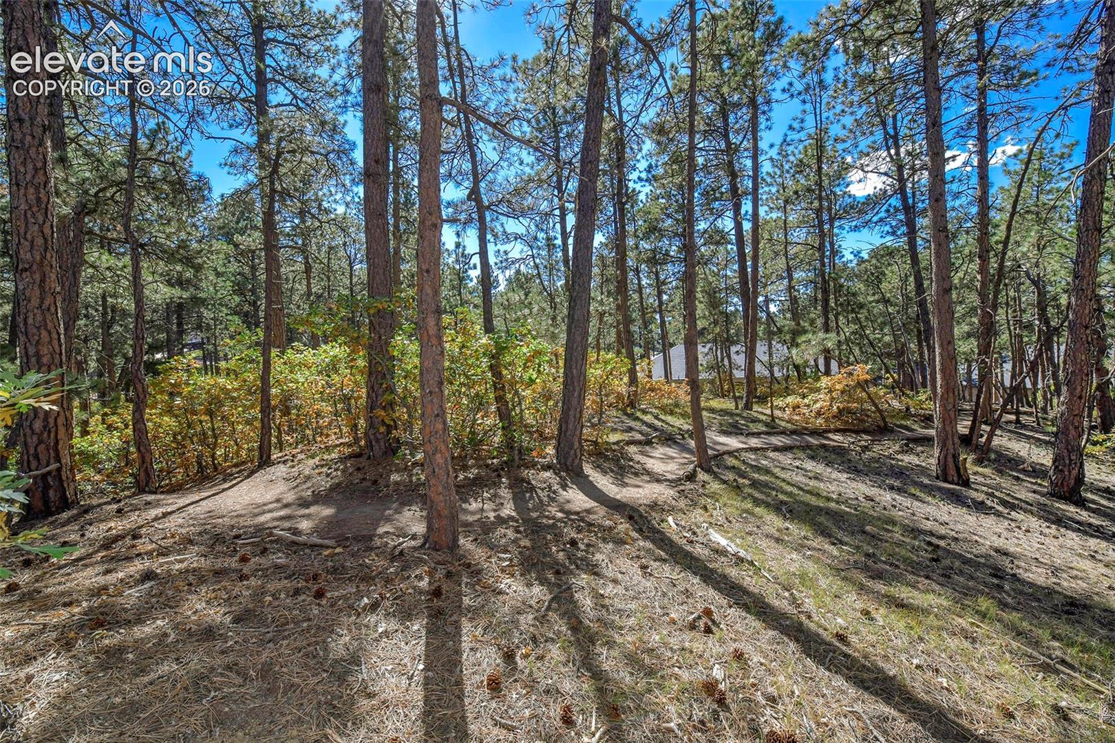 933 Tree Bark Terrace