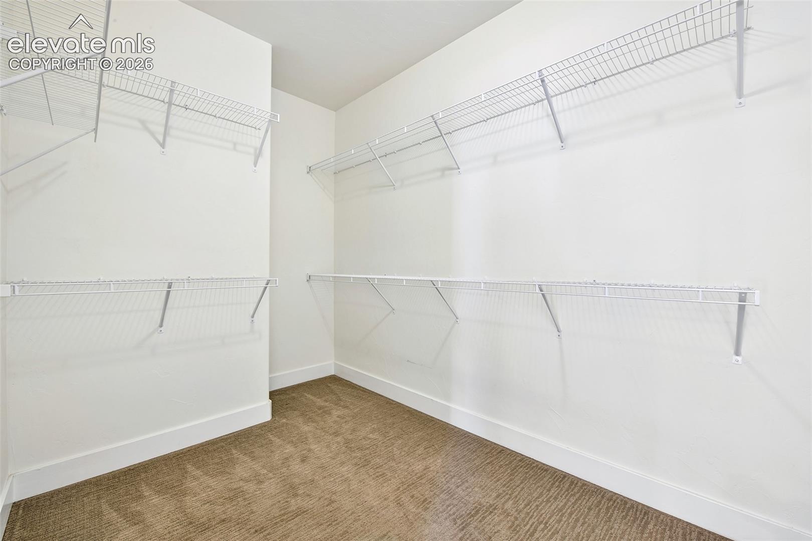933 Tree Bark Terrace