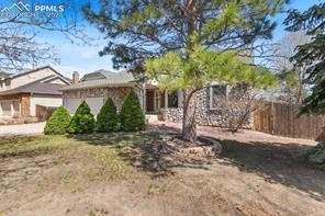770 Carlson Drive