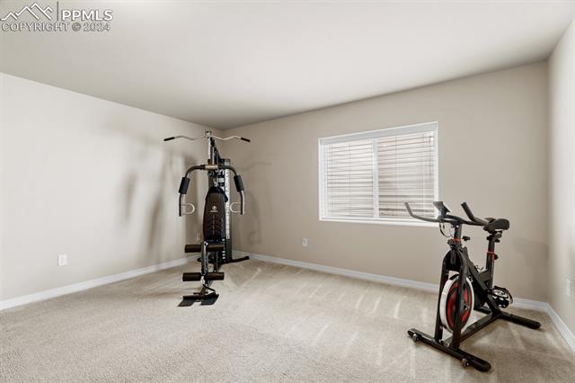 12531 Handles Peak Way