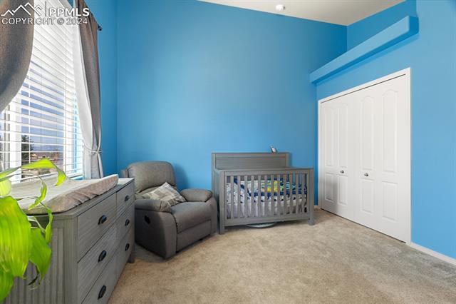 12531 Handles Peak Way