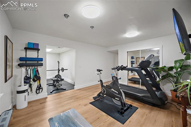 2855 Halleys Court