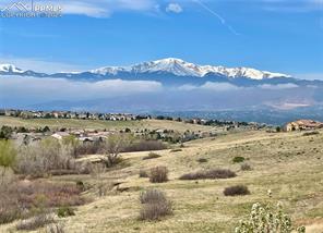 3695 Tuscanna Grove
