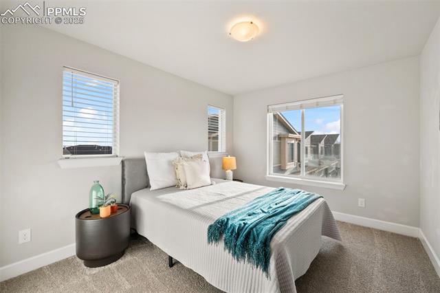 10157 Vervain View