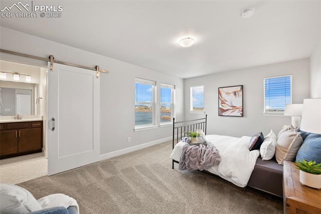 10157 Vervain View