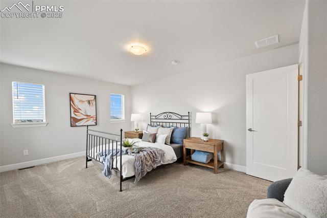 10157 Vervain View