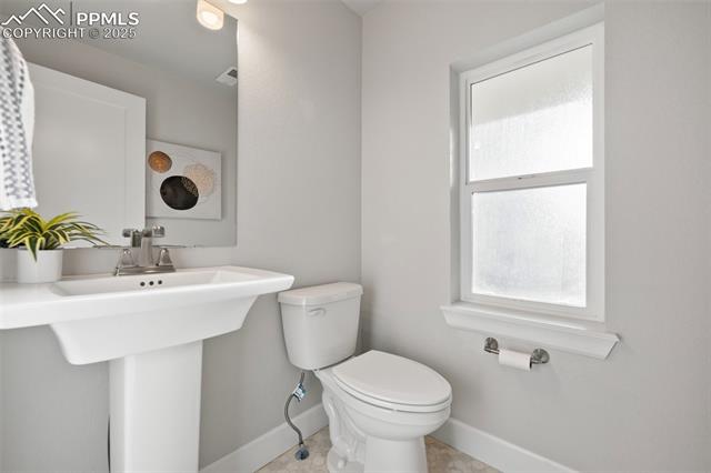 10157 Vervain View