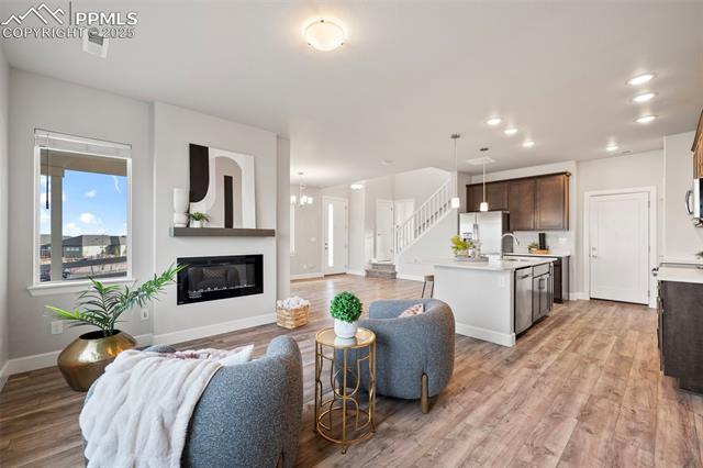 10157 Vervain View