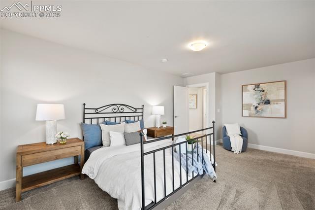 10157 Vervain View