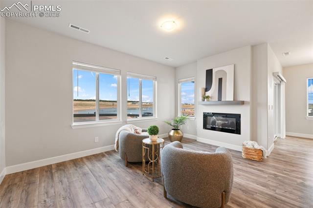 10157 Vervain View