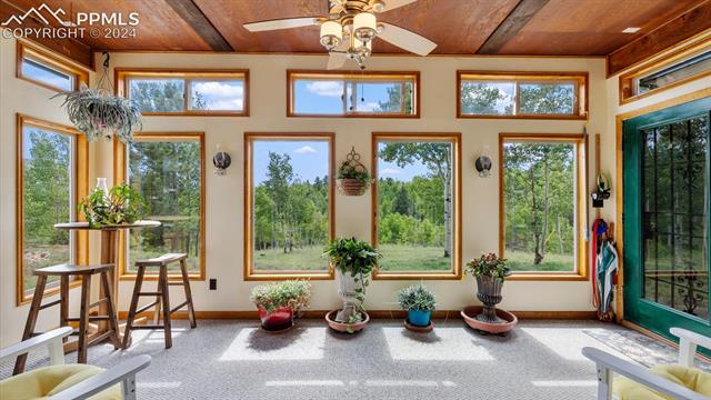 1161 Princess Road