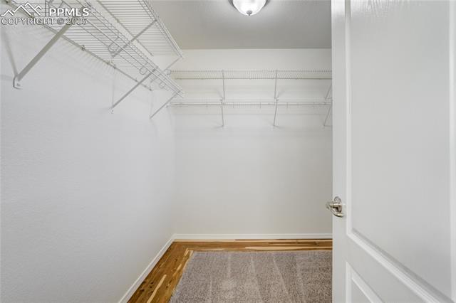 6674 Thistlewood Street