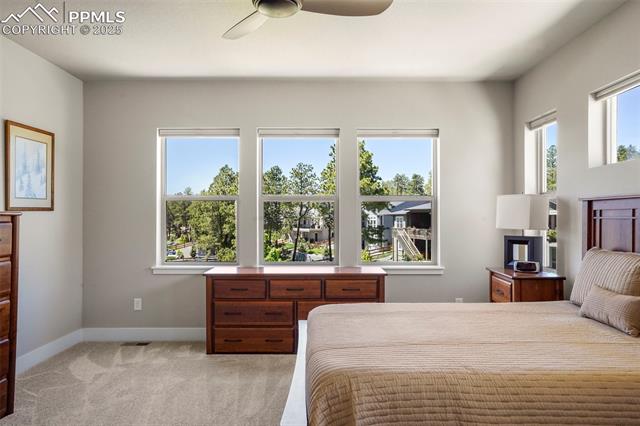 16420 Mountain Glory Drive