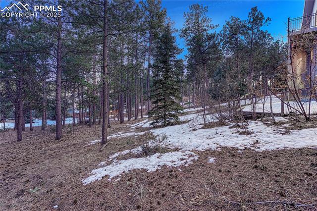 19335 Greenwood Drive