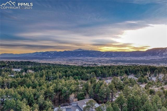 19335 Greenwood Drive