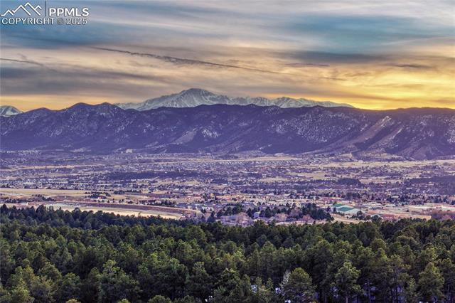 19335 Greenwood Drive