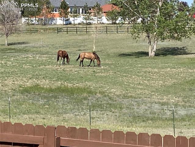 7831 Barraport Drive