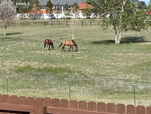 7831 Barraport Drive