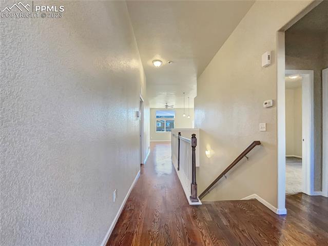 6974 Red Cardinal Loop