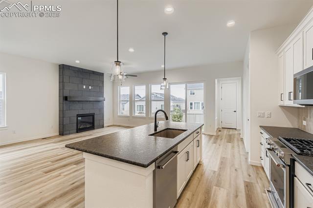8257 Willey Picket Drive