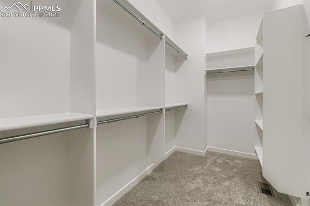 8257 Willey Picket Drive
