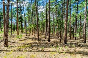 18685 Furrow Road