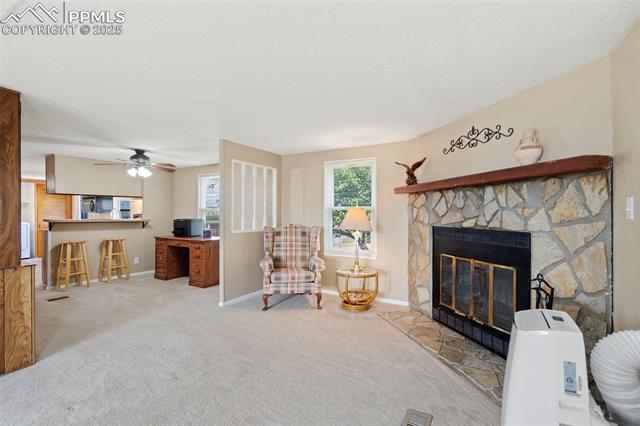 4425 Wileys Road
