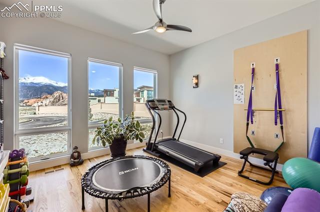 3097 Treeline View