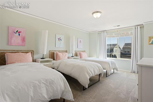 6767 Backcountry Loop