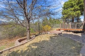 2834 Tenderfoot Hill Street