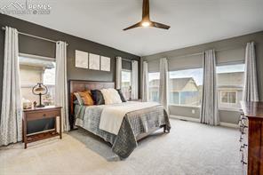 6898 Sedgerock Lane