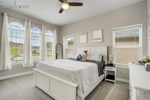 6898 Sedgerock Lane