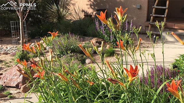 3215 W Pikes Peak Avenue