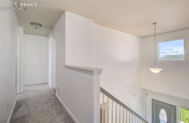 6559 Tranters Creek Way