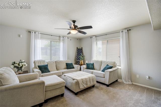 2456 Sierra Springs Drive