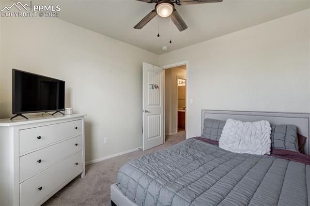 2456 Sierra Springs Drive