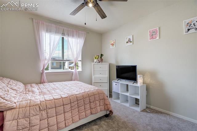 2456 Sierra Springs Drive
