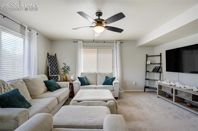 2456 Sierra Springs Drive