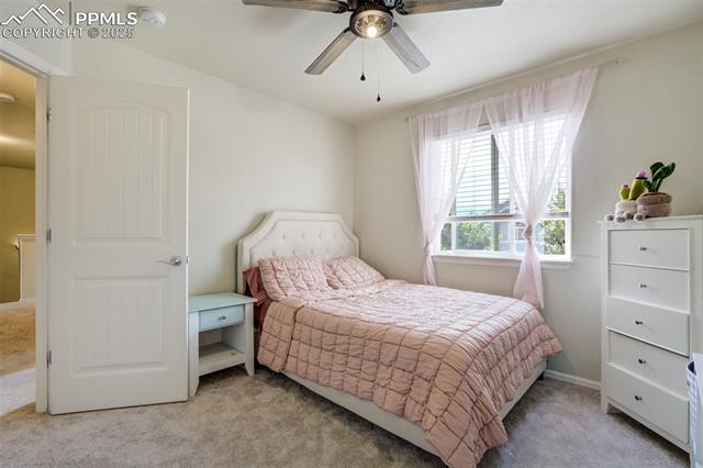 2456 Sierra Springs Drive