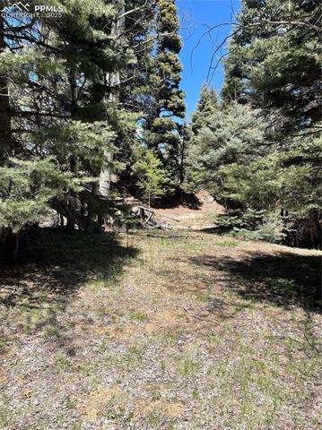 146 Gibson Road