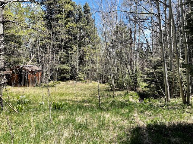 146 Gibson Road